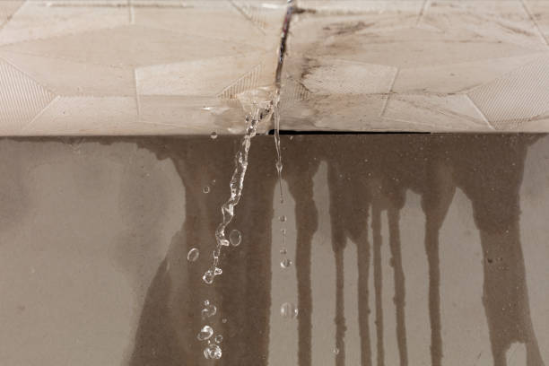Professional Structural Drying technician working in Pisgah, AL
